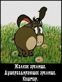 Голая женщина забралась на крышу машины и спровоцировала пробку