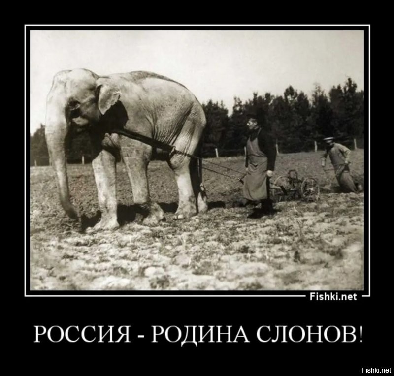 Россия - родина слонов (очень старый анекдот)  .
ООН объявила Год Слона. Разные страны издают книги на «слоновью» тему.
Немцы издали 1-ю часть 1-го полутома пятитомника «Краткое введение в слоноведение».
Американцы   книжку карманного формата «Что нужно знать среднему американцу о слонах».
Англичане   монографию «Слоны в Британской Индии».
Израильтяне   статью «Слоны и еврейский вопрос».
Итальянцы   эссе «Слоны и музыка».
Французы   буклет «Любовь у слонов».
В Советском Союзе вышел трёхтомник: первый том назывался «Россия   родина слонов», второй том   «Классики марксизма-ленинизма о слонах», третий том   «Слоны в свете решений двадцать шестого съезда КПСС» (вариант   «Роль слонов в национально-освободительном движении»).
Вслед за советским трёхтомником вышел и четырёхтомник в Болгарии. Первые три тома представляли собою перепечатку советского издания, а четвёртый том назывался: «Болгарский слон   лучший друг советского слона».