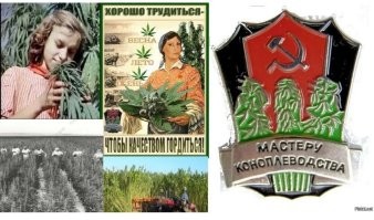 "упражнения избавляют от выгорания и позволяют ощутить легкость во всём теле"
