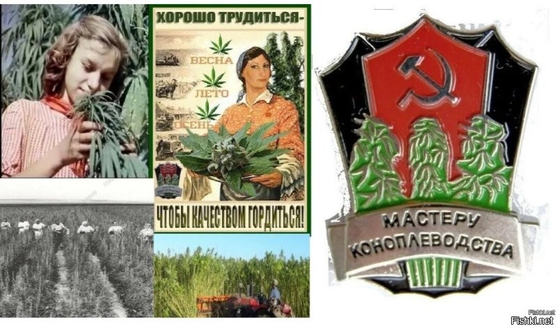 "упражнения избавляют от выгорания и позволяют ощутить легкость во всём теле"