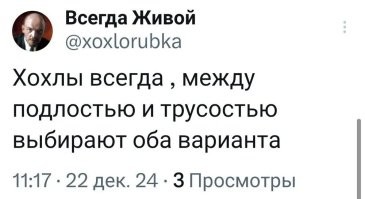 О политике и не только