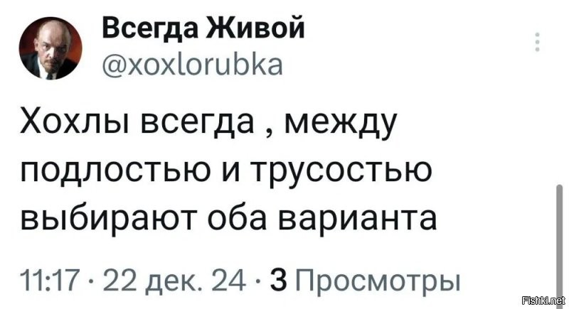 О политике и не только