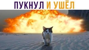 Осьминог перехитрил угря