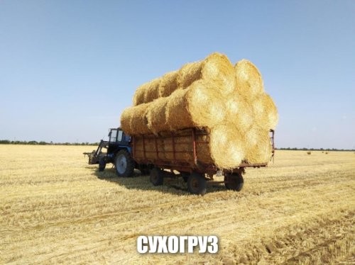 Солянка от 01.08.2025