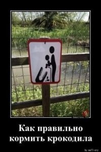 В США на интерактивной выставке осьминог вцепился в шестилетнего мальчика