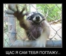 Осьминог такой: