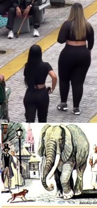 Ну да, внешностью. 

"По улицам слона водили,  
Как видно, напоказ."