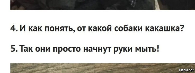 Жалко, что мы не узнали про собак и какашки!