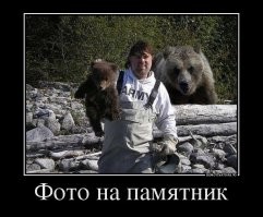 В Якутии дорожники пообедали под деревом, на которое забрались медвежата