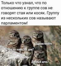 Парламентарии за работой!..