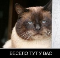 На Одесском пляже произошла массовая драка из-за русской музыки