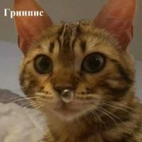 Производители пузырьков... Вам какие?