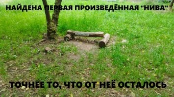 Смешные картинки