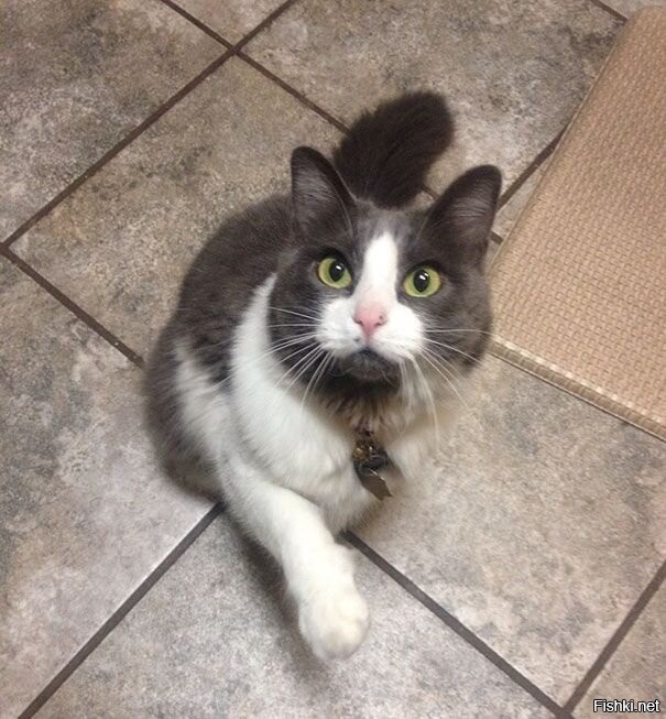 Доброе утро