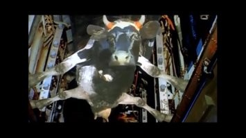 Самый безопасный, а самый простой пытался применить Кузьмич.