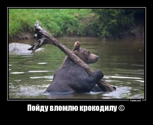 Всё вразнобой&nbsp;