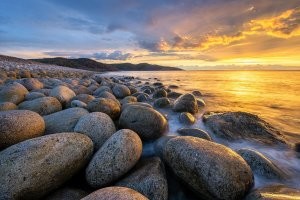 Пусть в этой цирюльне попробует