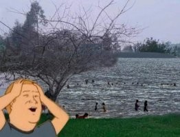 Скрины из соцсетей