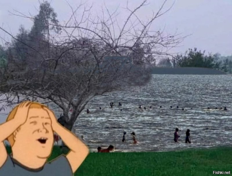 Скрины из соцсетей