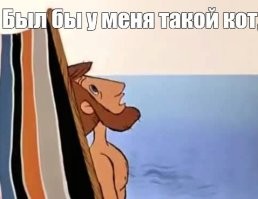 Кот стащил у соседей более 150 вещей, но они по-прежнему его любят