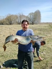 Ну почти так. 2023 год