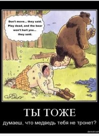 А эти люди нормальные вообще?