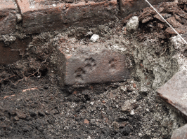 А чем он хуже предков? Следы котов были обнаружены на древних кирпичах при раскопках