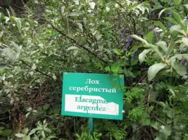 ее муж по жизни