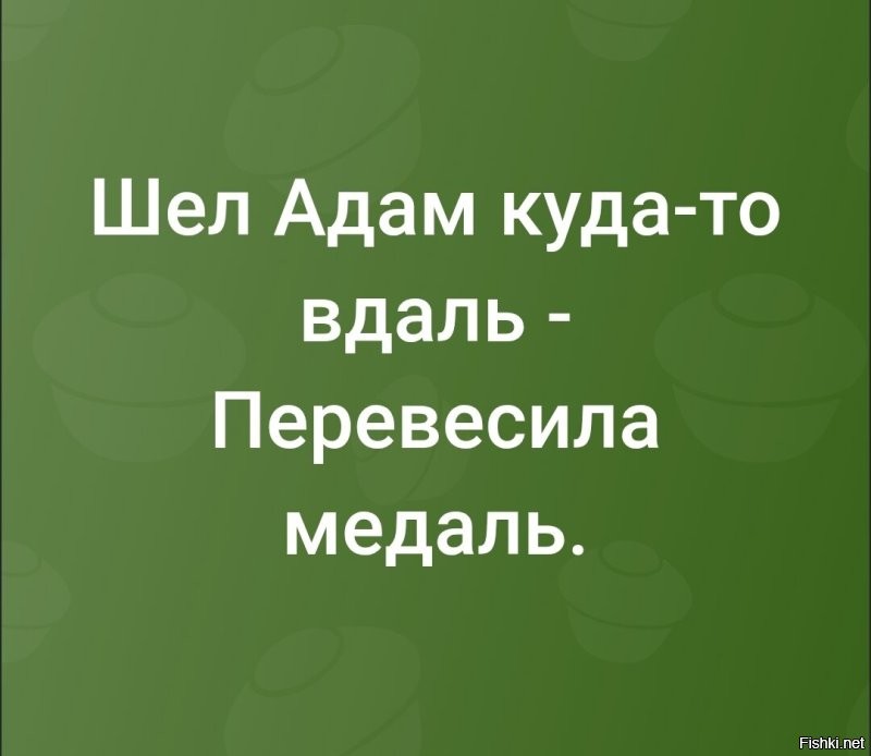 Адам Кадыров назначен куратором оказания помощи жителям сектора Газа