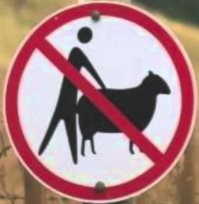 В Москве уволили официанта ресторана, который принёс посетительницам-мусульманкам сало