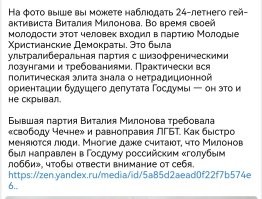Депутат Милонов назвал тонирование лобового стекла признаком нетрадиционной ориентации