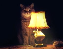 Случай знаю
Где-то в 80х гг в одной сибирской деревне в озере завелся сом и вырос он таких больших размеров, что стал утаскивать сначала мелких утят, потом на гусей перешел и как-то попробовал корову, но тут прибежал пастух и стал отгонять сома. Долгая была битва, да только с того времени пастуха никто не видел. Покумекали жители и собрались всей деревней изловить сома: бабы стали плести сети, мужики сели думать. Несколько раз водили сетью по озеру - ничего, на 5 раз увидели огромную дыру. На общем собрании решили, что ничего не поделать - нужно осушать и стали вычерпывать воду кто с ведром, кто чем под руку подвернется. На третьи сутки, когда стало прослеживаться дно, увидели жители как что-то там в иле шевелится, просто огромных размеров. Приблизились и слышат звуки какие-то раздаются внутри рыбины, осторожно открывают ей пасть и видят как льется мягкий свет, а рядом кот сидит, который на старорусском и поведал собравшимся свою историю. 
Кто-то из местных понял, что наверняка найдется тот, кто не поверит, поэтому сделал фото на память как доказательство