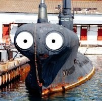 Знакомьтесь, телескопическая рыба