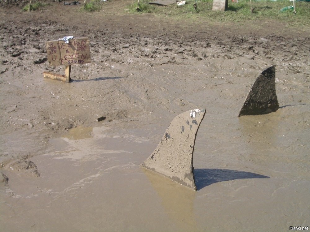 у америкосов есть жаргонное выражение "грязевая акула" (mud shark), значение которого аналогично нашему термину "чернильница")