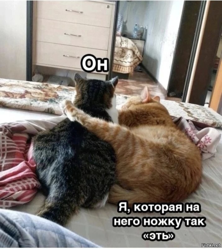 Доброе утро