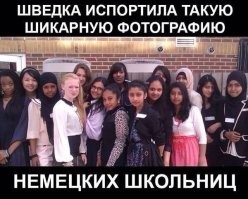 принимайте, принимайте толерантные вы наши