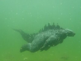 годзилла заплыв устроил