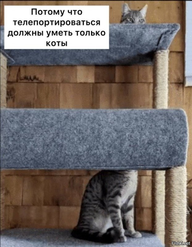 В МГУ закрылся институт, изучавший телепортацию и путешествия во времени