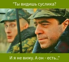 О политике и не только