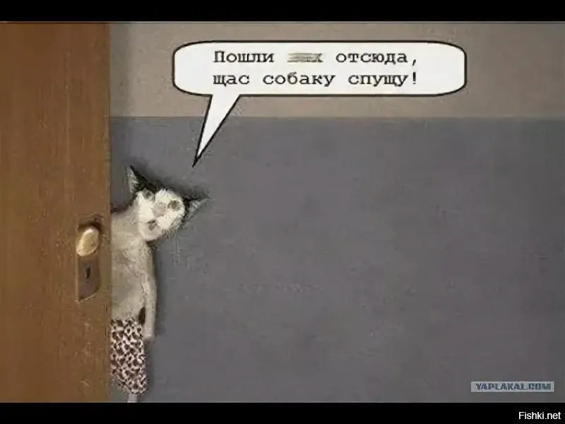 Солянка от 06.08.2025