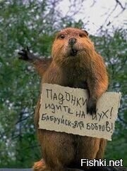 Тиктокерша попала в "котёл"