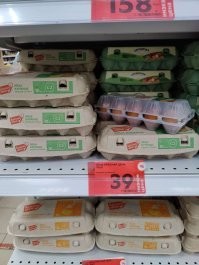 Бизнес-план жены