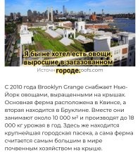 10 неожиданных, но интересных мест в самых популярных городах мира