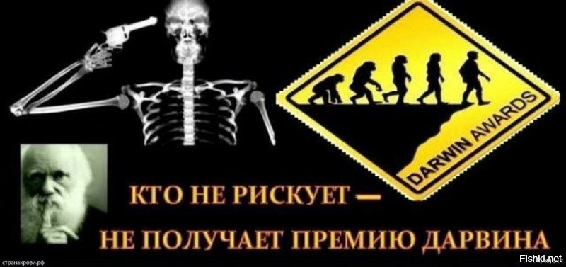 Тиктокер утонул в&nbsp;бочке с&nbsp;водой во&nbsp;время прямой трансляции