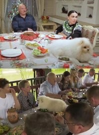 За собакой - это к белорусской кухне