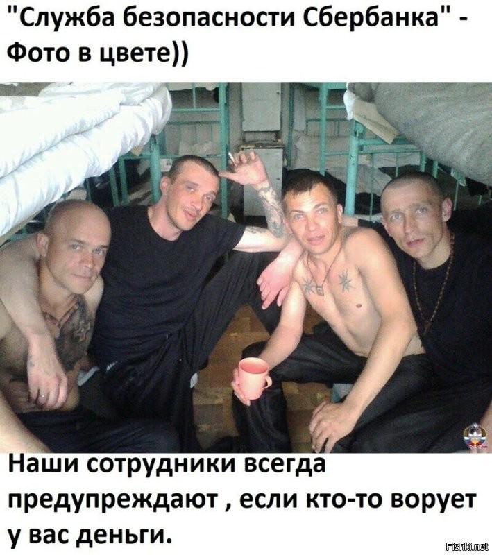 МВД предупредило водителей о новой схеме мошенничества через письма о штрафах