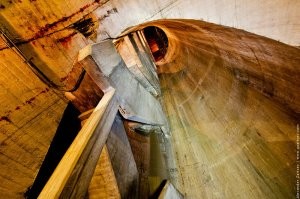 Лагерь дождевого червя