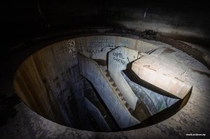 Лагерь дождевого червя