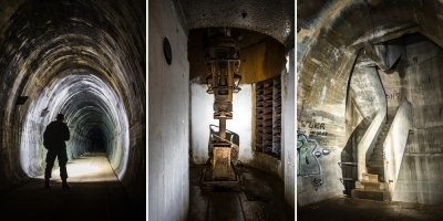 Лагерь дождевого червя