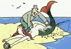 Намешалось